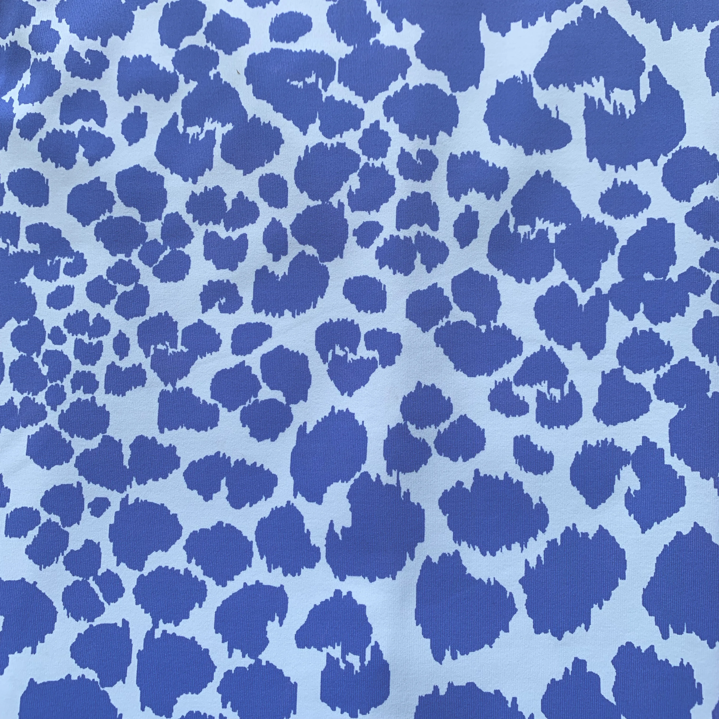 Carter Dress Panthera Light Blue